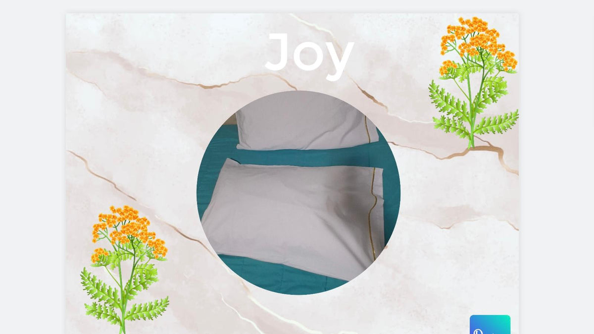 1 pair Standard Pillowcases.